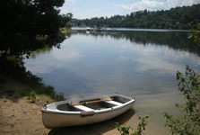 Slapy, Votice i Divišov hlásí bezpečné koupání bez sinic, kvalita vody je výborná Slapy, Votice i Divišov hlásí bezpečné koupání bez sinic, kvalita vody je výborná